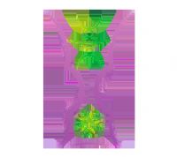 �������ޱ�1/4�����ʸ��� �й�̨��vsԼ��20250811