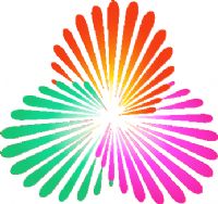 ȫ�˻�Ů���ʸ��� B��-ɽ��72.74�㽭20250815