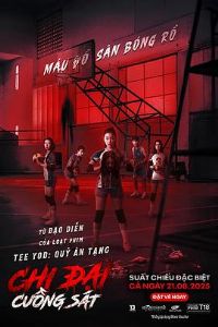 ��������13��