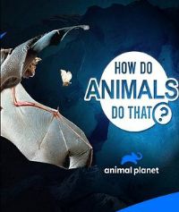 �������Ź���ڶ���