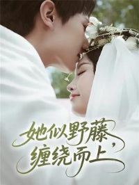 ����Ұ�٣����ƶ���