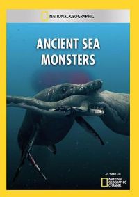 Զ�ź������